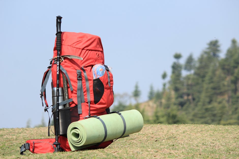 Red backpack with hiking pole and mat on grassy field with forest background.
